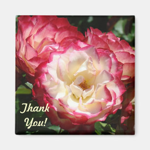¡Gracias! regalos de imán Flores de Rosa Blanca Ro
