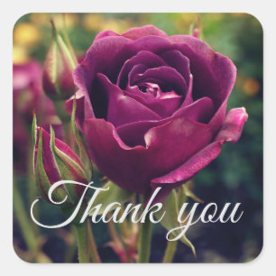 Gracias Rosa de Borgoña Iceberg #1 Pegatinas