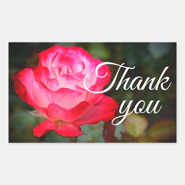 Gracias Rosa de Cherry Parfait #3 Pegatinas (Anverso)