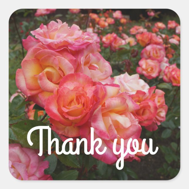 Gracias Rosa de Rainbow Sorbet #4 Pegatinas (Anverso)