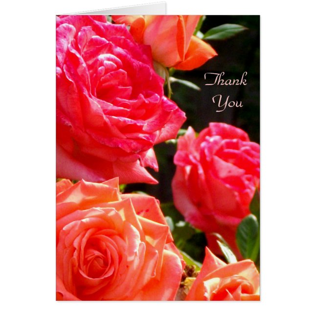 Gracias - Rosa Peach (Frente)