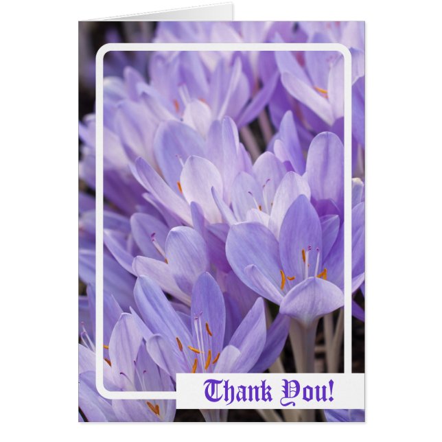 Gracias! Tarjeta (Frente)