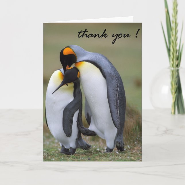 Gracias tarjeta (Anverso)