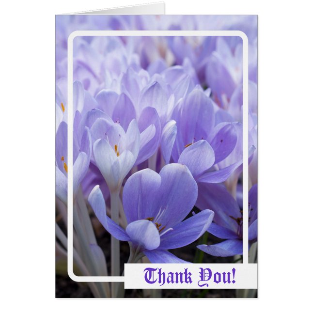 Gracias! Tarjeta (Frente)