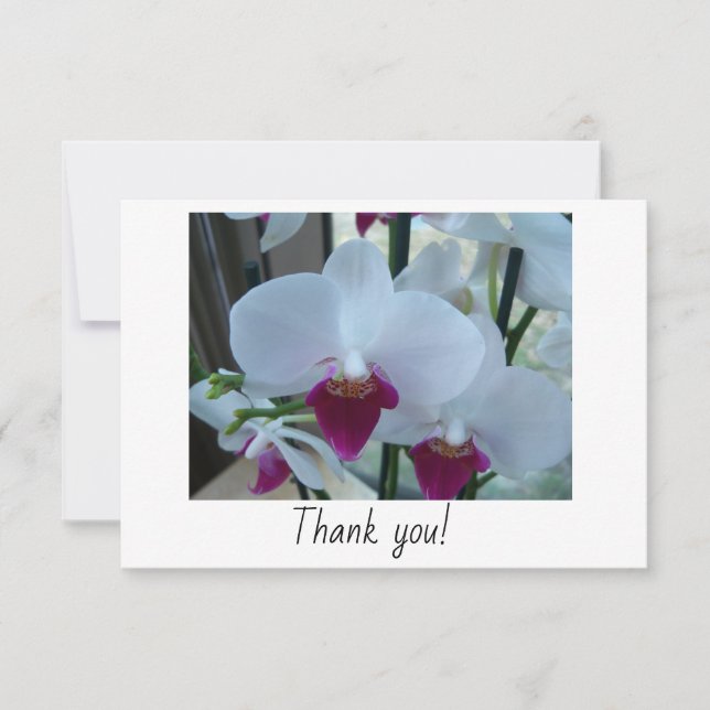 Gracias tarjeta con orquídeas blancas y violetas (Anverso)