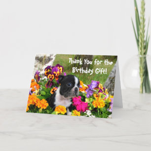 Gracias tarjeta de bienvenida Boston Terrier