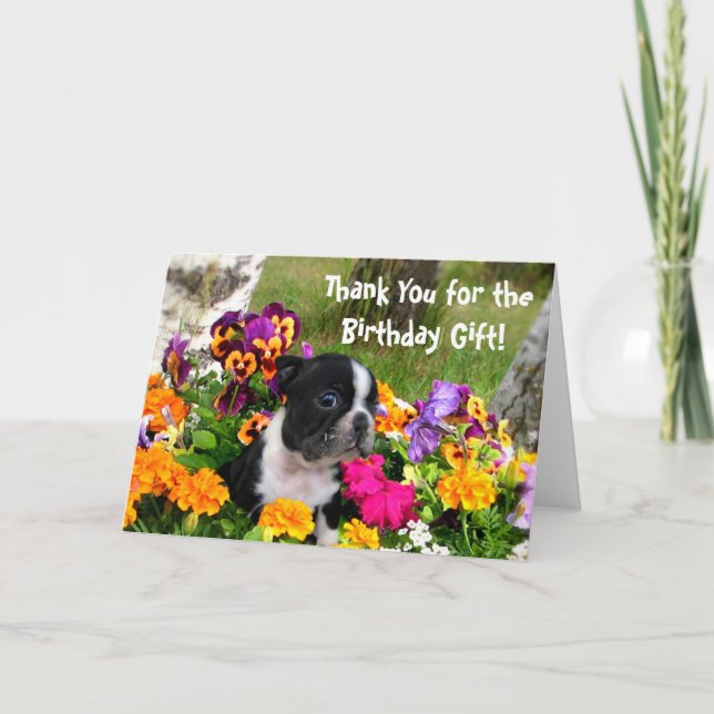 Gracias tarjeta de bienvenida Boston Terrier (Anverso)