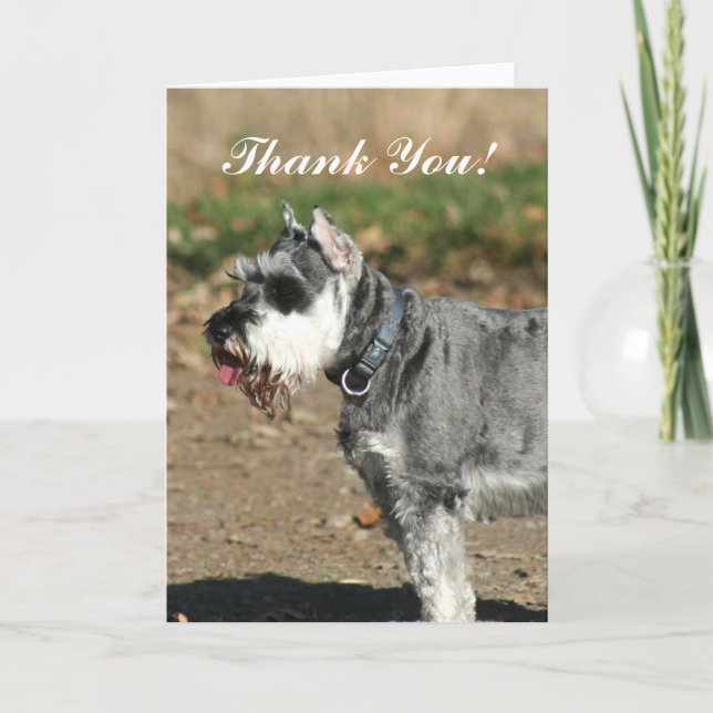 Gracias tarjeta de bienvenida de perro Schnauzer (Anverso)