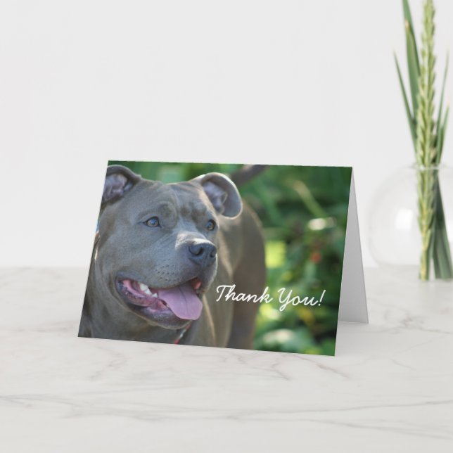 Gracias tarjeta de felicitación azul del perro del (Anverso)