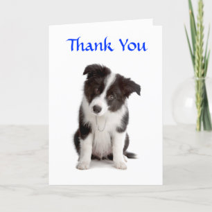 Gracias Tarjeta de felicitación Collie Puppy Front