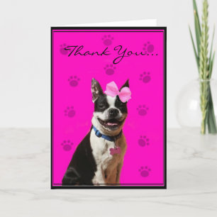 Gracias tarjeta de felicitación de Boston Terrier