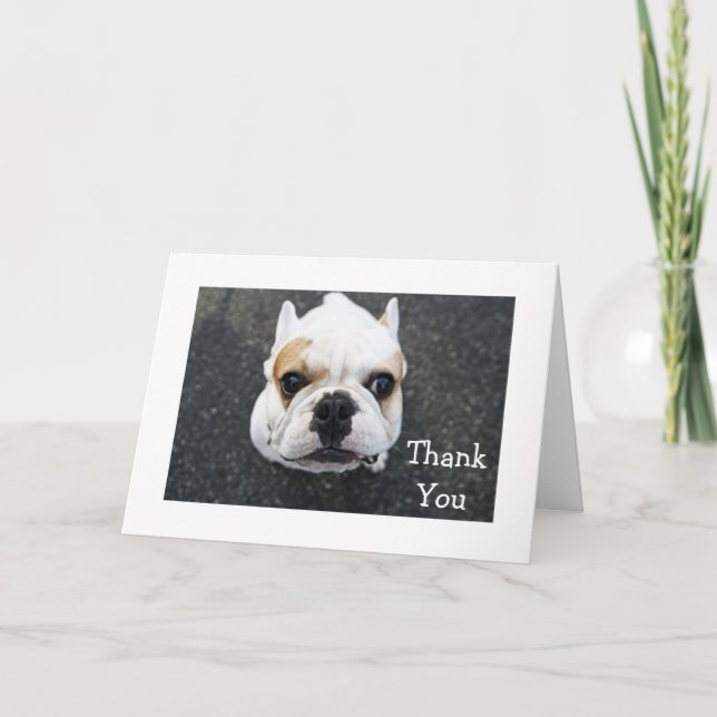 Gracias Tarjeta de felicitación de Bulldog - Verso (Anverso)