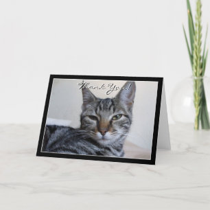 Gracias tarjeta de felicitación de gato de Tabby