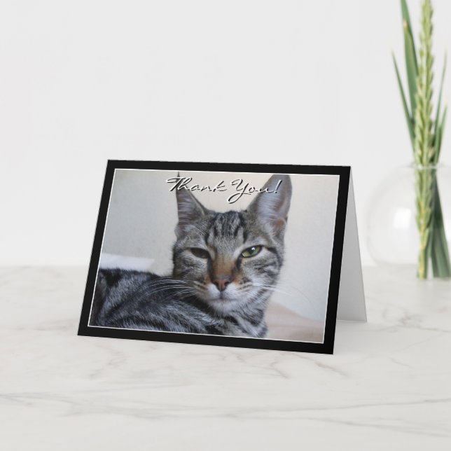 Gracias tarjeta de felicitación de gato de Tabby (Anverso)