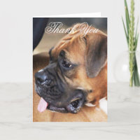 Gracias tarjeta de felicitación de perro Boxer