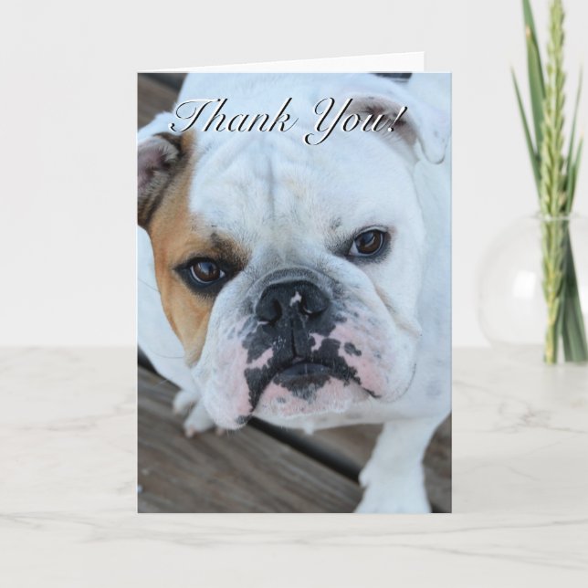 Gracias tarjeta de felicitación del bulldog (Anverso)