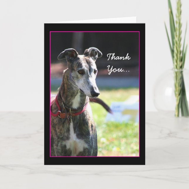 Gracias tarjeta de felicitación Greyhound (Anverso)