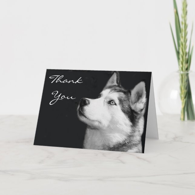 Gracias tarjeta de felicitación Husky Siberian (Anverso)