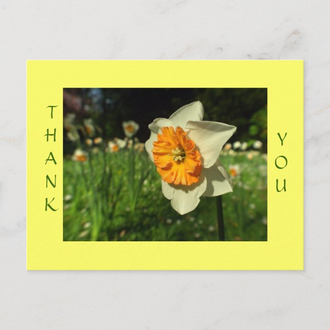 Gracias - tarjeta de flor brillante de sol (Anverso)