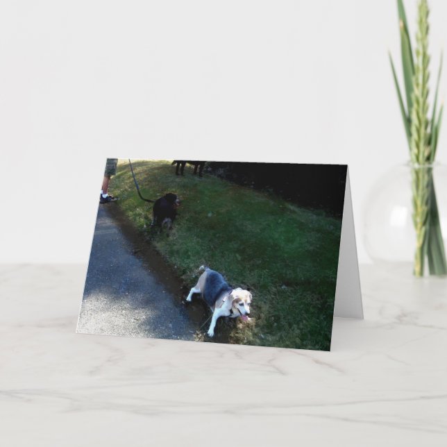 GRACIAS TARJETA DE HOSPITALIDAD (Anverso)