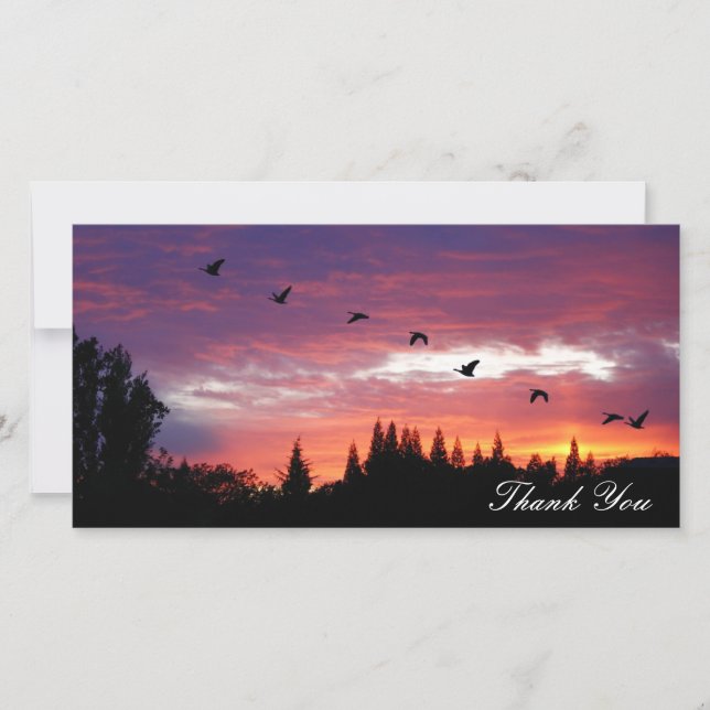 "Gracias", tarjeta de la foto (Anverso)