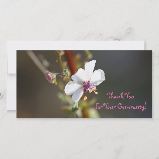 Gracias, tarjeta de la foto (Anverso)