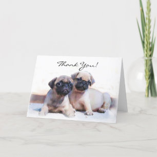 Gracias, tarjeta de saludo de cachorros Pug