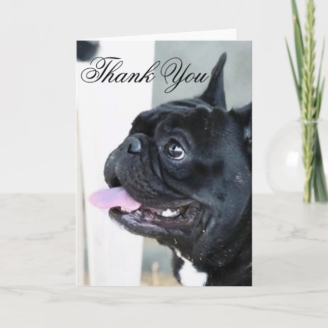 Gracias tarjeta de saludo de perro de Bulldog fran (Anverso)