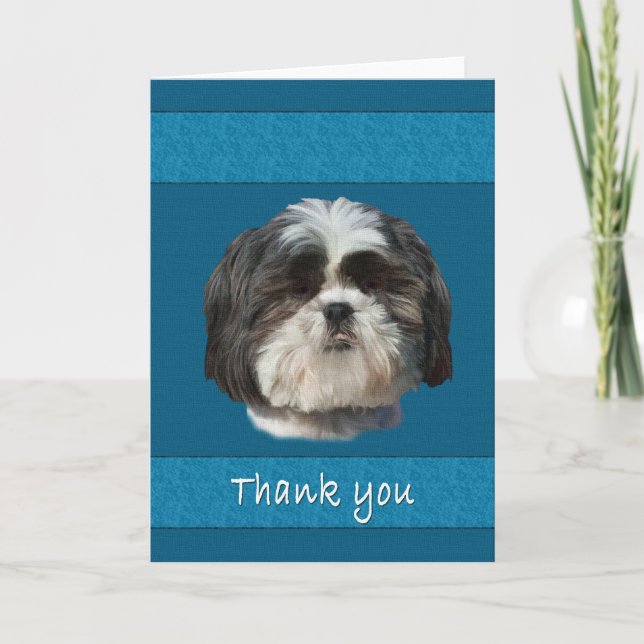 Gracias, tarjeta del perro de Shih Tzu (Anverso)