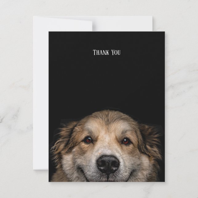 Gracias tarjeta plana de perro (Anverso)