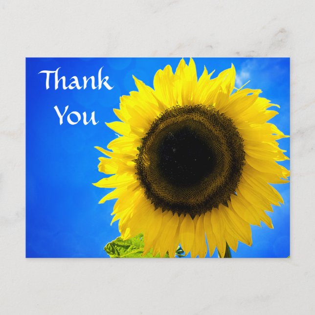 Gracias tarjeta postal de bienvenida de girasol am (Anverso)