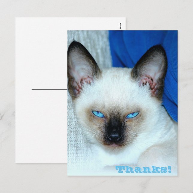 Gracias, tarjeta postal de vacaciones (Anverso / Reverso)