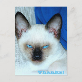 Gracias, tarjeta postal de vacaciones