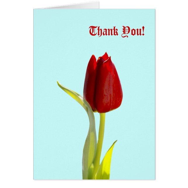 Gracias! Tarjetas (Frente)