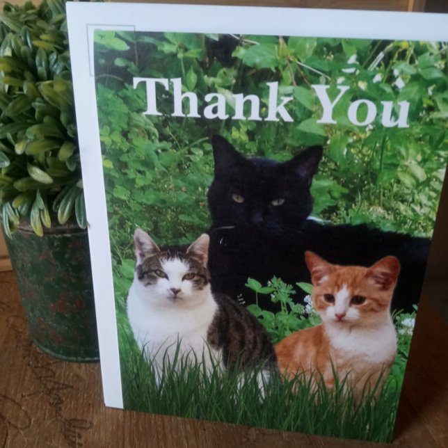 Gracias veterinario con tarjeta de felicitación (Subido por el creador)