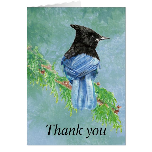 Gracias Watercolor Stellar Jay Bird Nature (Frente)