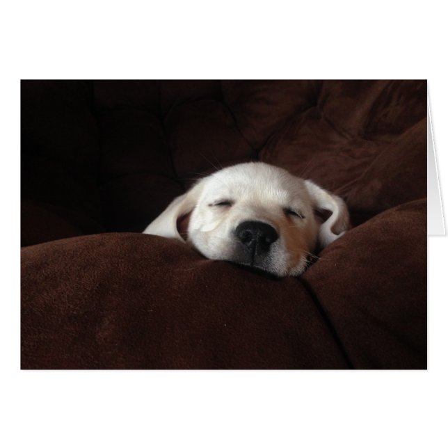 Gracie durmiente (Anverso (Horizontal))