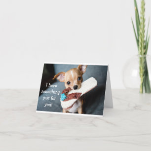 Graciosa adorable tarjeta de cumpleaños chihuahua