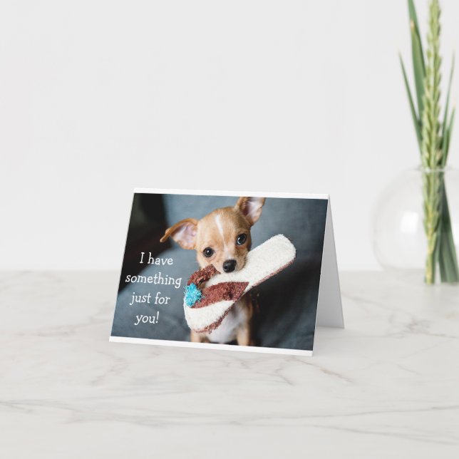 Graciosa adorable tarjeta de cumpleaños chihuahua (Anverso)