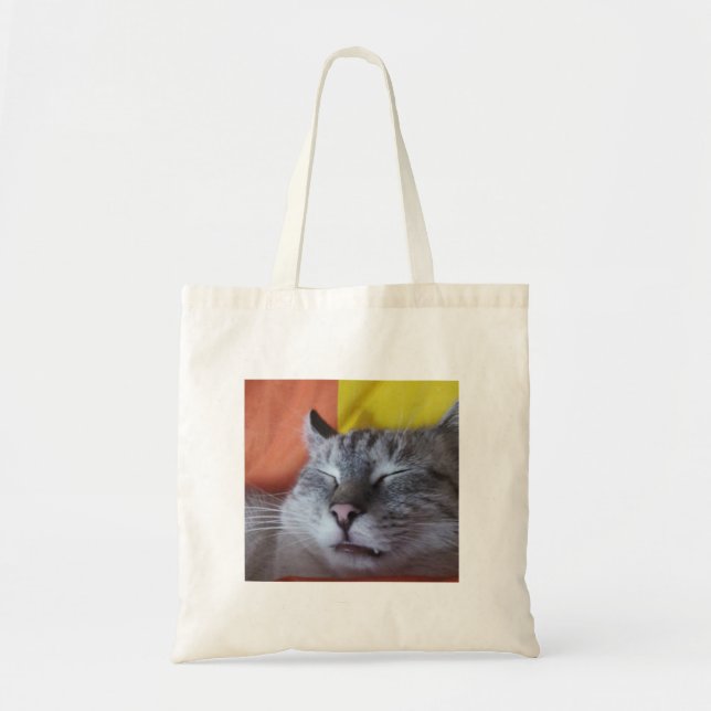 Graciosa bolsa de té de gato espantoso (Frente)
