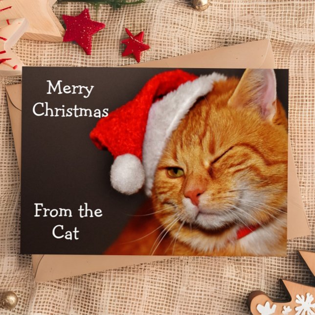 Graciosa Feliz Navidad del gato (Subido por el creador)