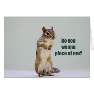 Graciosa foto de Chipmunk