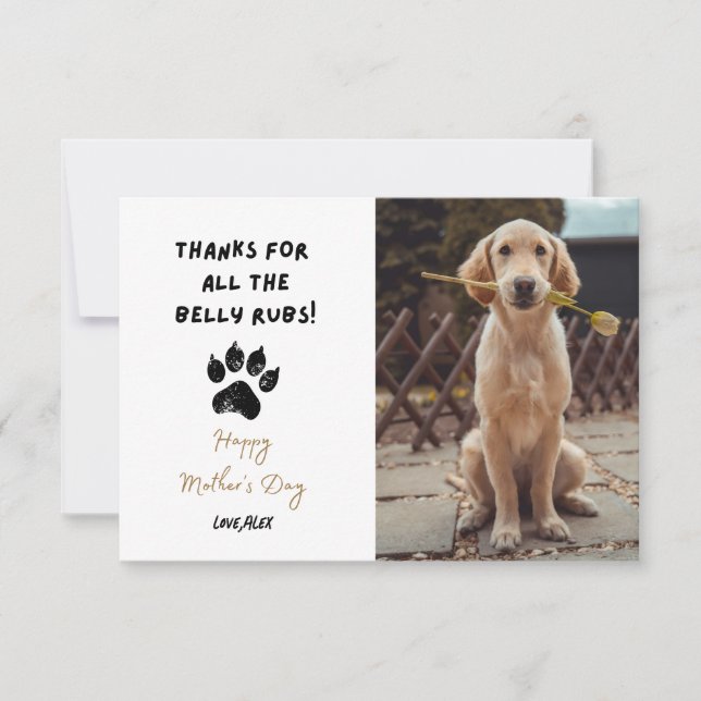 Graciosa foto Mascota personalizada Perro Día de l (Anverso)
