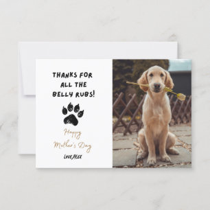 Graciosa foto Mascota personalizada Perro Día de l