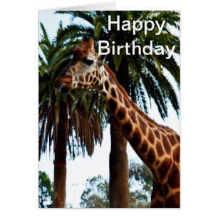 Graciosa Giraffe Raspberry, Tarjeta de Cumpleaños