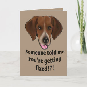 Graciosa Obtén la tarjeta para perros