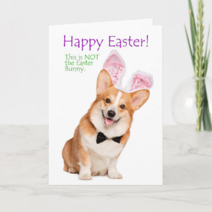 Graciosa tarjeta Corgi Easter