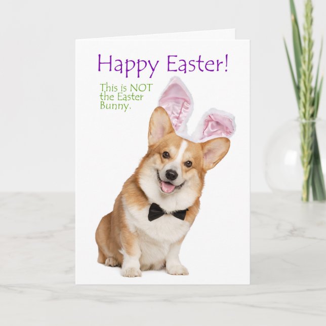 Graciosa tarjeta Corgi Easter (Anverso)