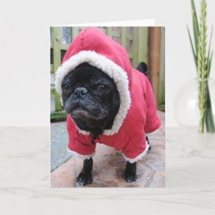 Graciosa tarjeta de bienvenida de cumpleaños Pug