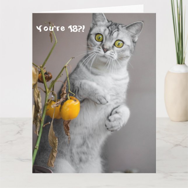 Graciosa tarjeta de cumpleaños 18 Happy Cat (Anverso)